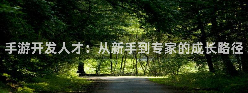 完美电竞历史：手游开发人才：从新手到专家的成长路径