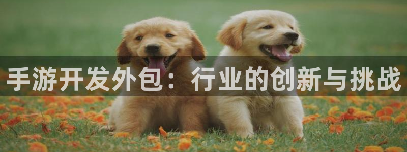 28大神吧论坛没了：手游开发外包：行业的创新与挑战