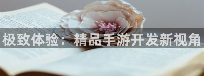 28大神开奖查询结果：极致体验：精品手游开发新视角