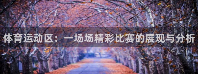 betway西汉姆联官网：体育运动区：一场场精彩比赛的展现与分析