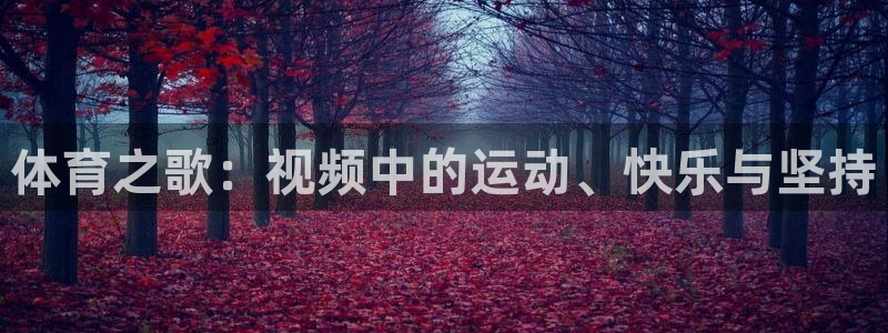 betway西汉姆联官网：体育之歌：视频中的运动、快乐与坚持