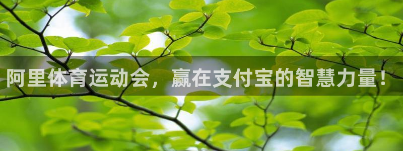 betway西汉姆联：阿里体育运动会，赢在支付宝的智慧力量！