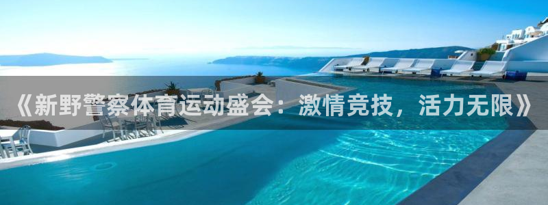 必威betway西汉姆联：《新野警察体育运动盛会：激情竞技，活力无限》