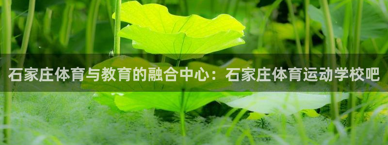 betway西汉姆联：石家庄体育与教育的融合中心：石家庄体育运动学校吧