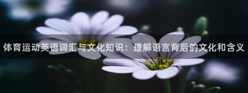 betway西汉姆联：体育运动英语词汇与文化知识：理解语言背后的文化和含义