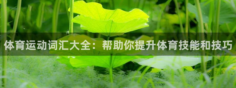 betway西汉姆联官网：体育运动词汇大全：帮助你提升体育技能和技巧